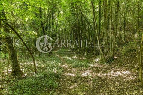 Casale al Castagneto