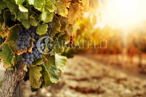Illustre Azienda Agr