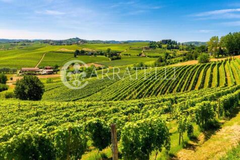 Illustre Azienda Agr