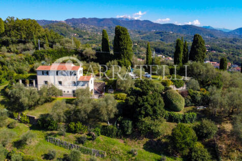Moderna villa con pi