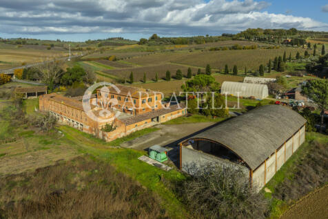 Azienda vitivinicola