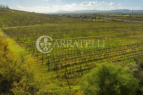 Azienda vitivinicola
