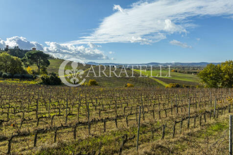 Azienda vitivinicola