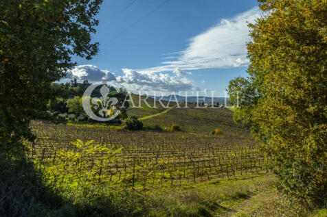 Azienda vitivinicola