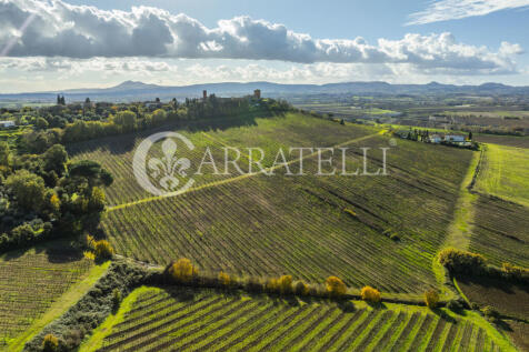 Azienda vitivinicola