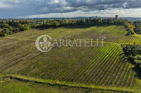 Azienda vitivinicola
