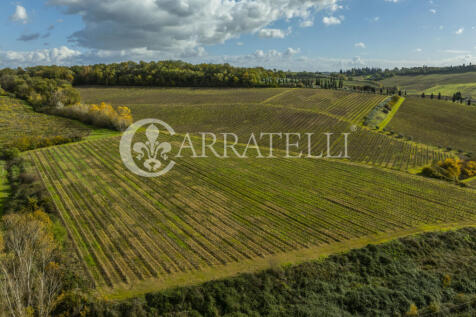 Azienda vitivinicola