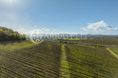 Azienda vitivinicola