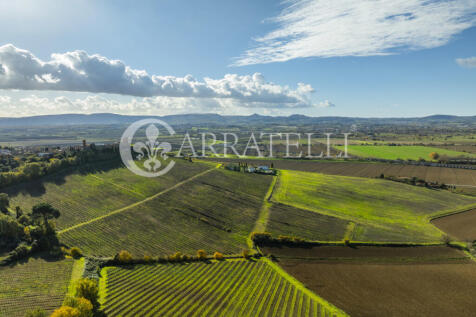 Azienda vitivinicola