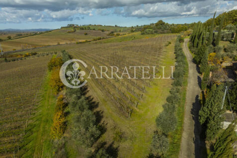 Azienda vitivinicola