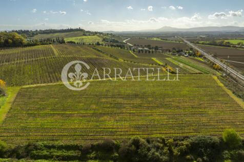 Azienda vitivinicola