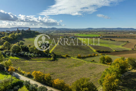 Azienda vitivinicola