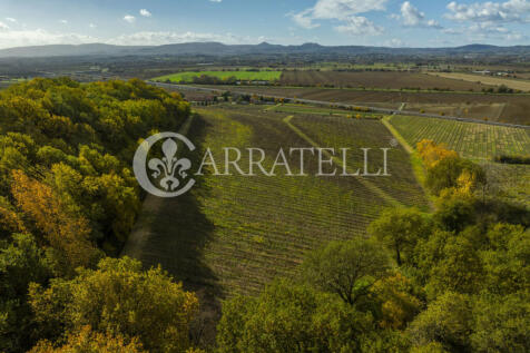 Azienda vitivinicola