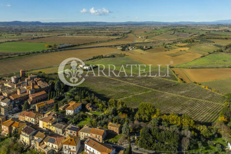 Azienda vitivinicola