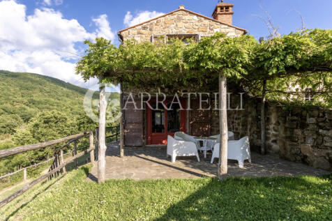 Scarlino Maremma Tos