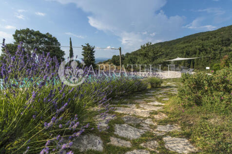 Scarlino Maremma Tos