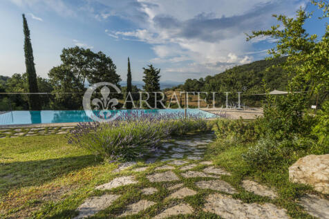 Scarlino Maremma Tos