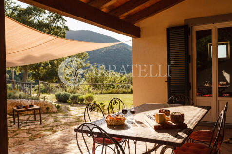Scarlino Maremma Tos
