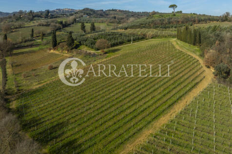 Azienda Vitivinicola