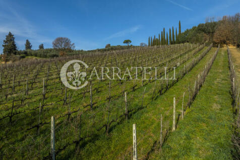 Azienda Vitivinicola