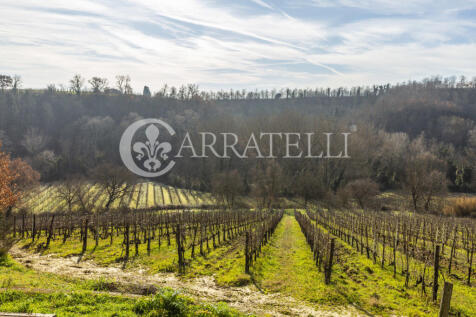 Azienda Vitivinicola