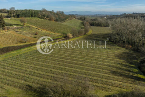 Azienda Vitivinicola