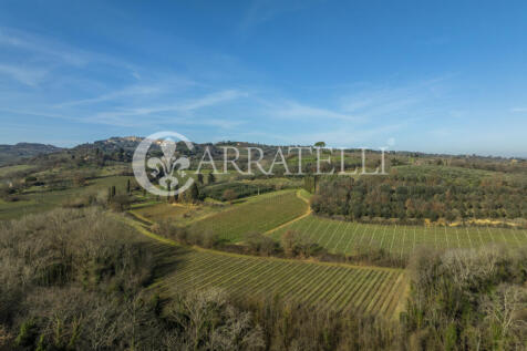 Azienda Vitivinicola