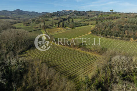 Azienda Vitivinicola
