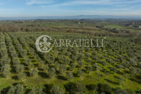 Azienda Vitivinicola