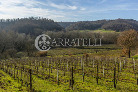 Azienda Vitivinicola