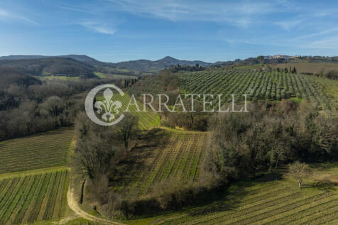 Azienda Vitivinicola