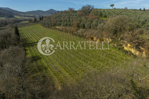 Azienda Vitivinicola