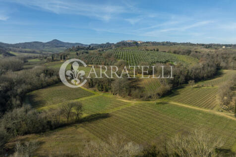 Azienda Vitivinicola