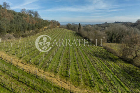 Azienda Vitivinicola