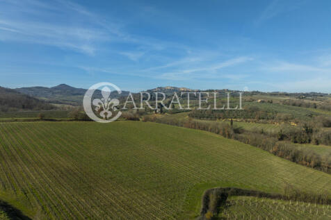 Azienda Vitivinicola