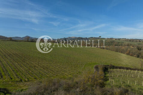Azienda Vitivinicola
