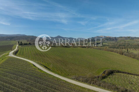 Azienda Vitivinicola