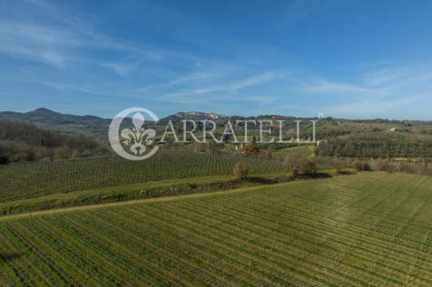 Azienda Vitivinicola
