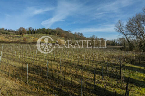 Azienda Vitivinicola