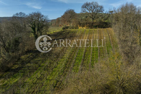 Azienda Vitivinicola