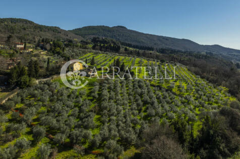 Colline di Firenze c
