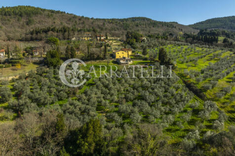 Colline di Firenze c