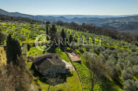 Colline di Firenze c