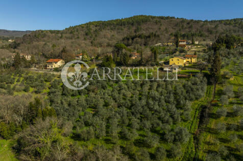 Colline di Firenze c