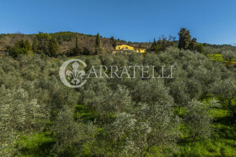 Colline di Firenze c