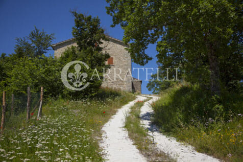 Città di Castello c