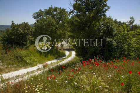 Città di Castello c
