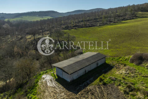 Rudere con capannoni