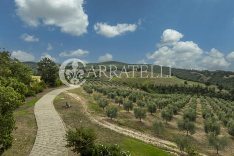 Casale con terreno e