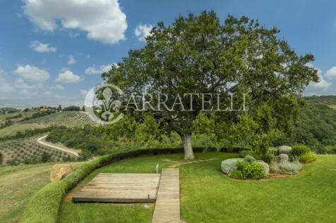 Casale con terreno e